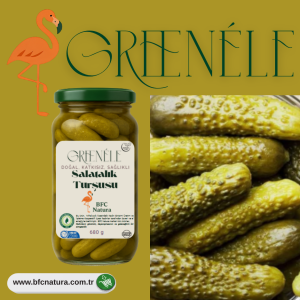 GREENELE Salatalık Turşusu – 680 g | Katkısız ve Doğal Fermente