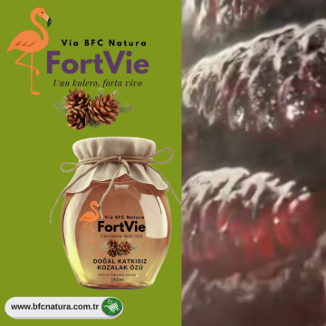 FORTVie Kozalak Özü – Bağışıklık ve Solunum Desteği | %100 Doğal