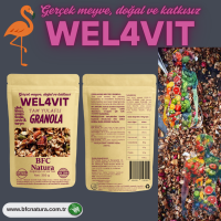 WEL4VIT – Granola de avena integral horneada con fresa, cereza, uva, avellana tostada, nuez & canela (350 g)