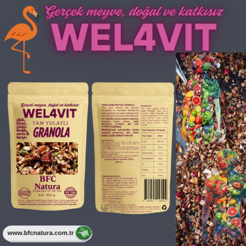 WEL4VIT – Granola de avena integral horneada con fresa, cereza, uva, avellana tostada, nuez & canela (350 g)